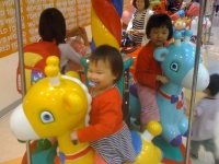 20100501013