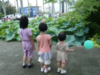 20100529009
