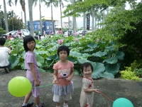 20100529010